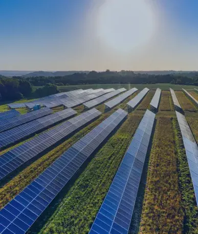 Al-Nour Manufacturing