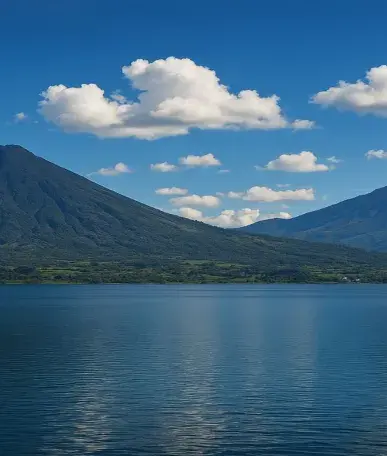 Al-Nour Manufacturing test