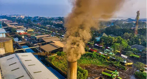 Environmental Management